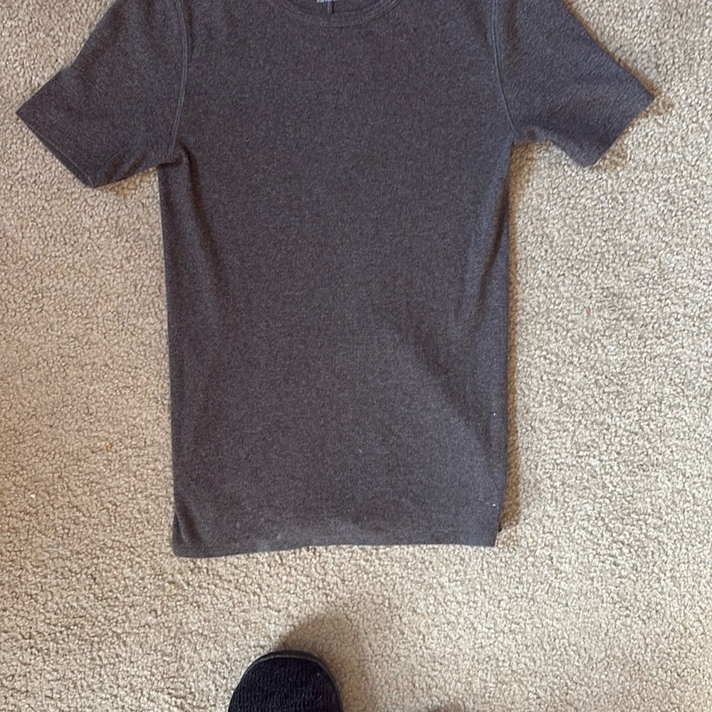 Everlane pima microrib crew tee heathered fatigue